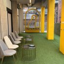 강남큰빛유치원 | 강남 강아지유치원 체험 수업 후기 바우라움 가격, 주차 정보