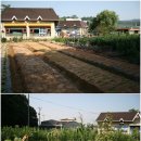 은서유치원 이미지