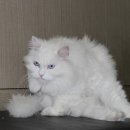 영민동물병원 이미지