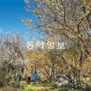 구례의길(지리산둘레길) 이미지