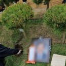 부천장례식장에서 후불제상조 이용후기~!(feat.고양시수목장)