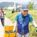 장성농장 이미지