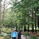 천수약국 이미지