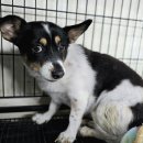 회원동115 이미지