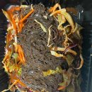 두꺼비왕족발보쌈식당 이미지