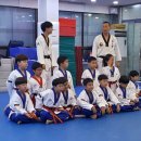 XPL태권도장 이미지