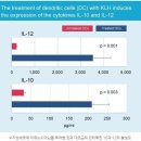 독일 통합의학적 치료를 도입한 비오메드 암 요양병원을 추천 합니다 이미지