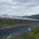 큰고을농원 이미지