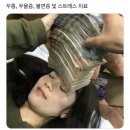 유미 펫 | ~02/18 야도헤어/ 아줌마돈까스/ 유미카츠/ 백송한우/ 솔밭샤브/ 갤러리아더펫/ 소울투베이커리...