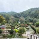 덕평공룡수목원 네이버블로그