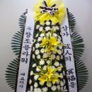 진주중앙병원장례식장주