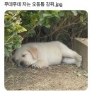 2월 기록