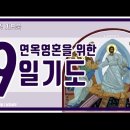 [가톨릭 기도문] 연옥영혼을 위한 9일기도 (남자성우 배경음악) 이미지