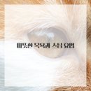 온열건강과학 이미지