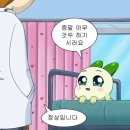 오시오 캠프 이미지