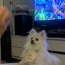 멍케이크 이미지