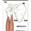 크러쉬짐 이미지