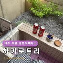 하가민박 | [제주여행] 제주 에어비앤비 독채민박 애월 &#39;하가로트리&#39; 102호