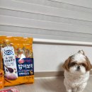 박춘식 | (협찬)박춘식의 하림 밥이보약 눈물사료 &amp; 눈물톡톡 체험후기