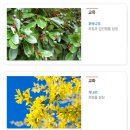 한국주얼리고등학교 이미지