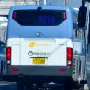 군청사거리~신정사거리 이미지