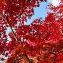 솔내음누리길 화장실 | 가을 북한산 등산 🍁 서울 단풍 놀이 명소 북한산 ❤️ 지난 주말 단풍 절정 가을산 다녀온 후기!