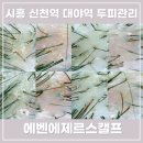 시립대야센트럴푸르지오어린이집 | 시흥 신천역 대야역 두피관리 에벤에제르스캘프 임산부 힐링 케어