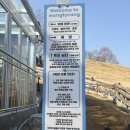 학원목장 | [태백여행] 아기랑 방문하기 좋은 몽토랑산양목장&amp;카페🐏🐑☕️🍓