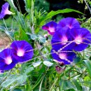 마지마을회관 이미지