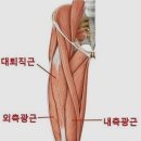 우성스마트사우나 이미지