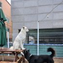 프로네앞마당 이미지