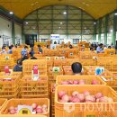 공판장유통 이미지