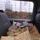 전주지역자활센터보드레기저귀 이미지