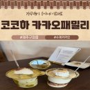 카페8683 | (내돈내산)제주도여행 구좌읍 수제 카카오 선물추천 코코하 카카오패밀리 방문기