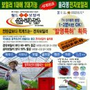 통갈비 이미지