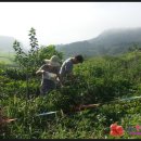 다정농장 이미지