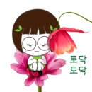 대도카메라