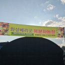 향남농장 | 향남 화성 복분자 베리굿복분자농장 체험농장 후기