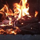 와이제이미트 이미지