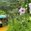 책숲독서회 이미지