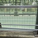 포은대로 이미지