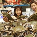 서해안마트 이미지