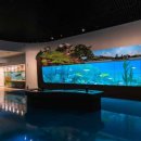 제천시 의림지 역사박물관 이미지