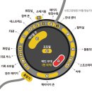 창립 80주년 &#39;기아 같이뛰어&#39; 완주 후기