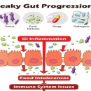 서울숲정의원 이미지