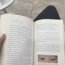 선천성 안검하수 안검내반 명의 이상열 교수님 용산 우리연세안과 이마근걸기술 후기