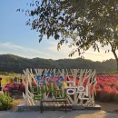 10월 연천 댑싸리공원&amp;한탄강 트레킹 공지 이미지