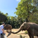 (주)우루루 | 푸꾸옥 4박 5일 자유여행 (1)｜북부투어 빈펄사파리 후기, TIP