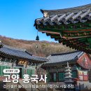 한미산 흥국사 만일회비 | 경기도사찰 가볼만한곳 고양 흥국사 걷기 좋은 둘레길 템플스테이