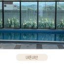 힐스톤 B 이미지